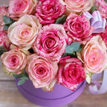 Роза баракуда в коробке