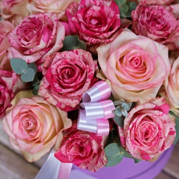 Роза баракуда в коробке