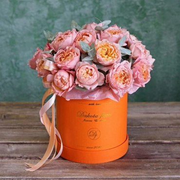 Джульетта в оранжевой коробке