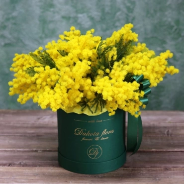 Мимоза в коробке