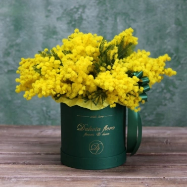 Мимоза в коробке