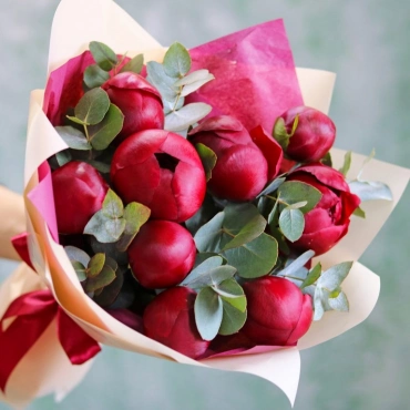 Пионы Ред Шарм