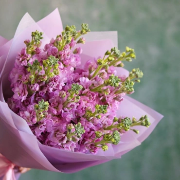 Розовая маттиола нежный букет