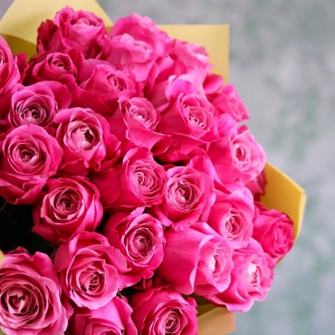 Малиновые розы