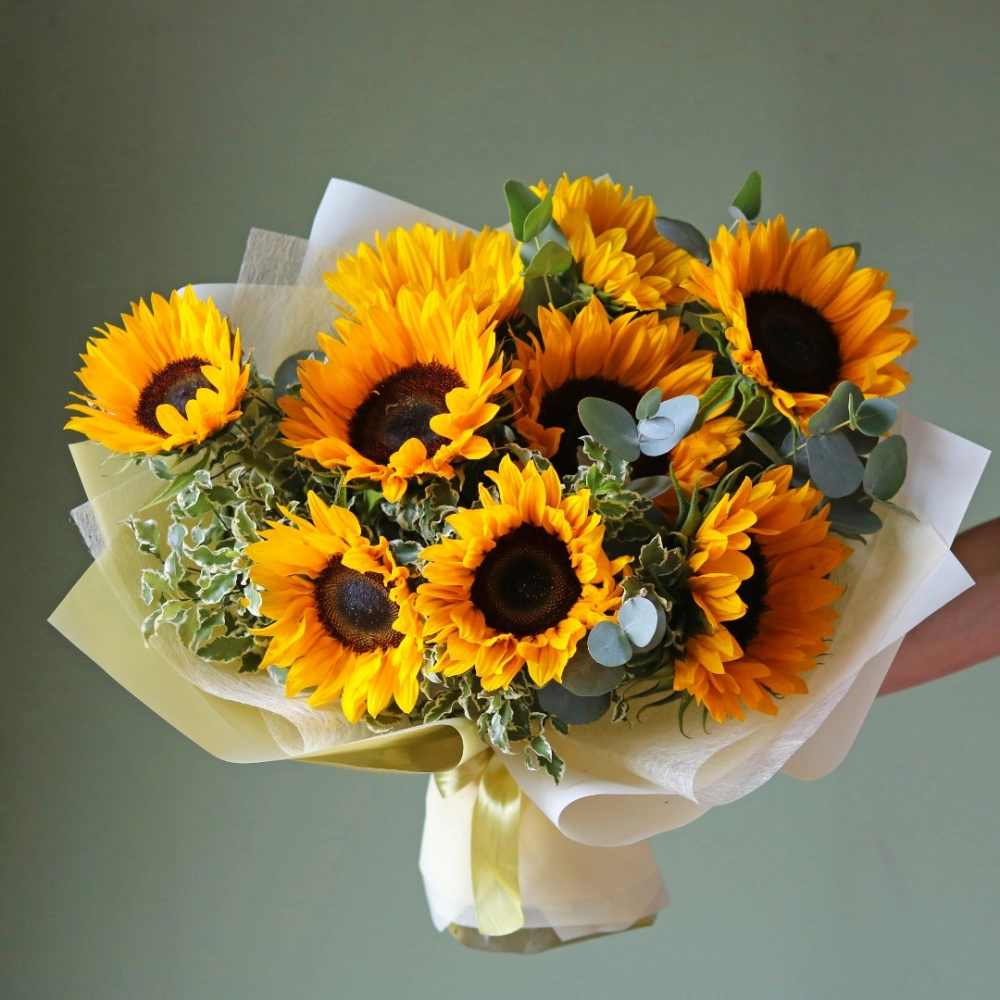 9 подсолнухов