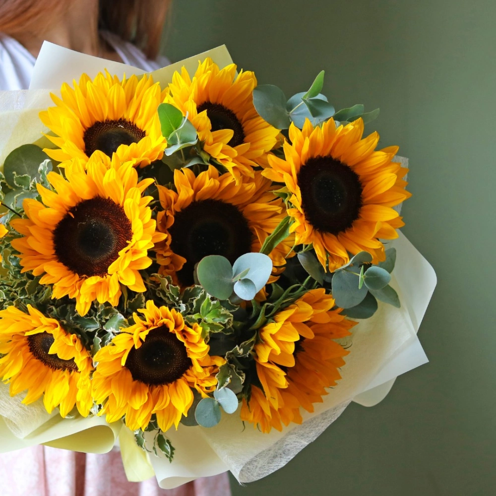 9 подсолнухов