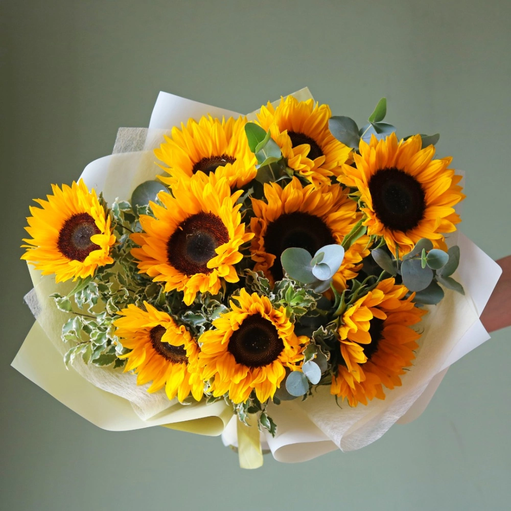 9 подсолнухов