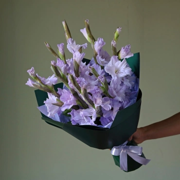 Лавандовые гладиолусы