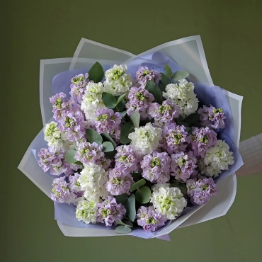 Белая и лавандовая маттиола букет