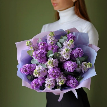 Маттиола фиолетовых оттенков