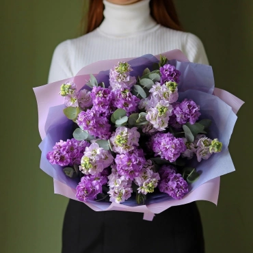 Маттиола фиолетовых оттенков