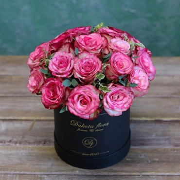 Роза баракуда в черной коробке