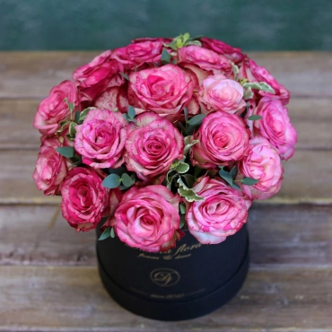 Роза баракуда в черной коробке