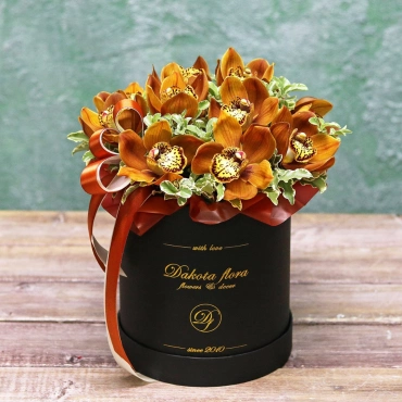 Оранжевая орхидея в коробке