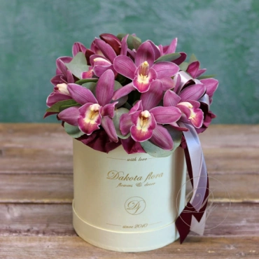 Фиолетовая орхидея в коробке