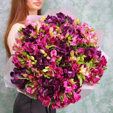 Альстромерия фиолетовая