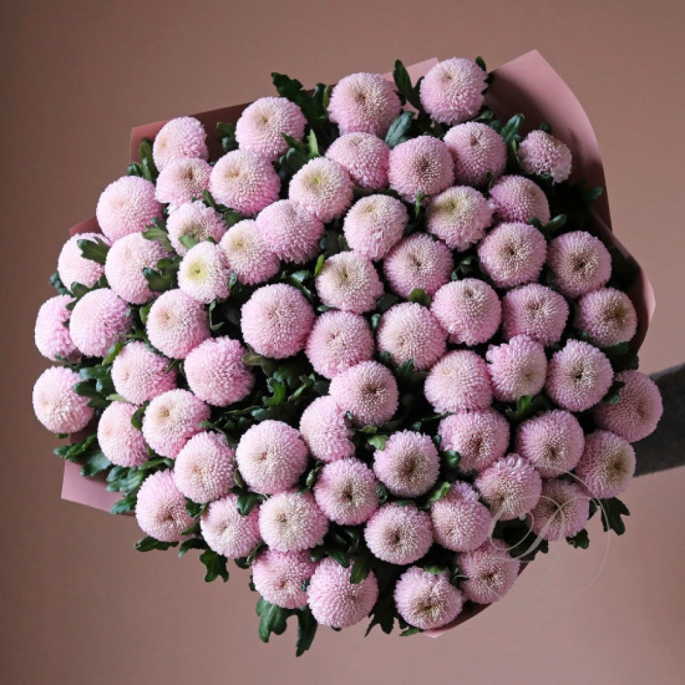 65 хризантем