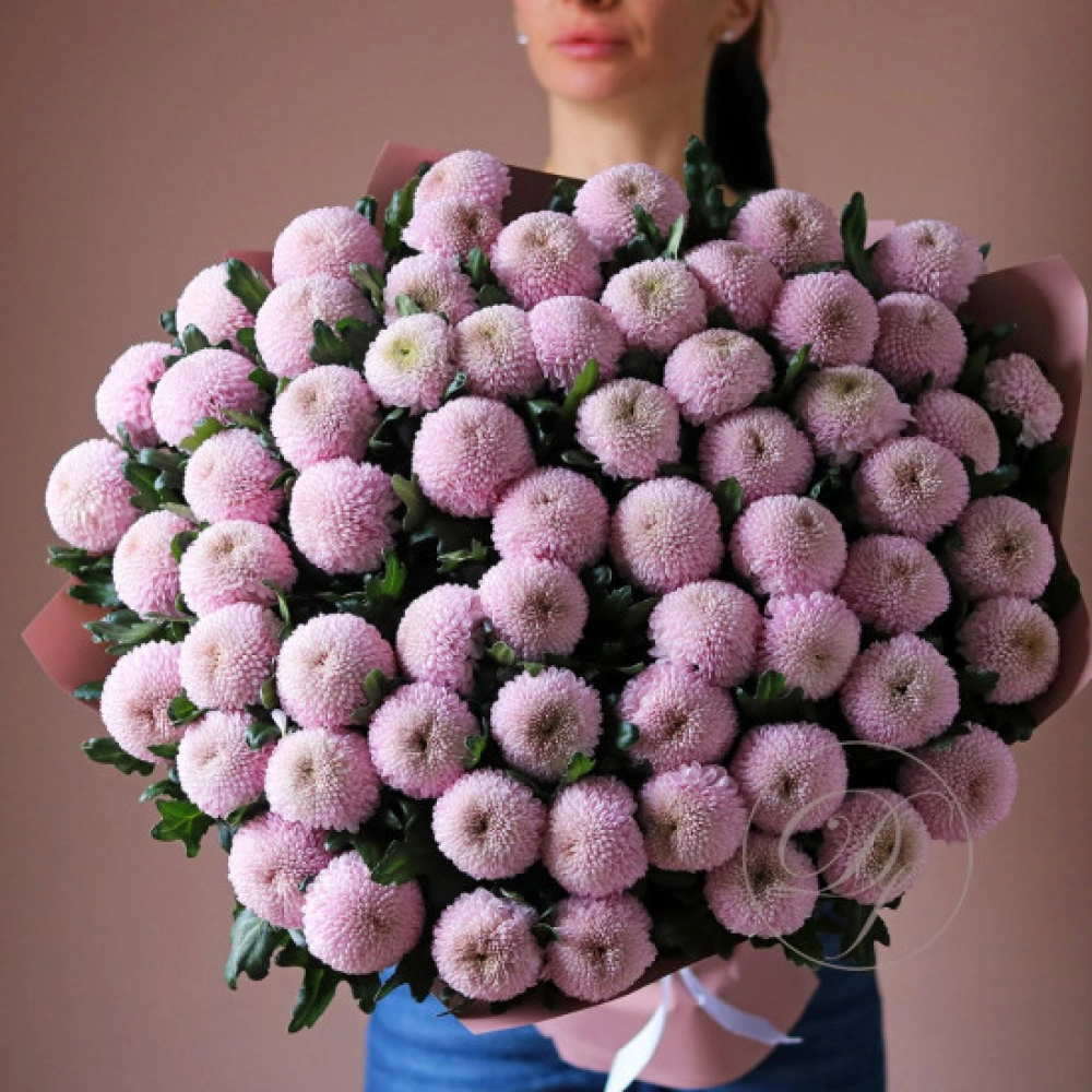 65 хризантем