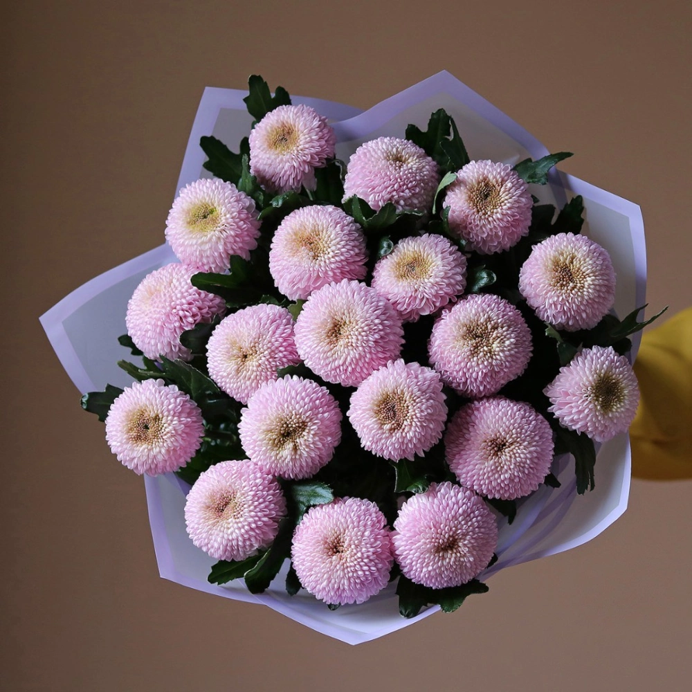 19 хризантем