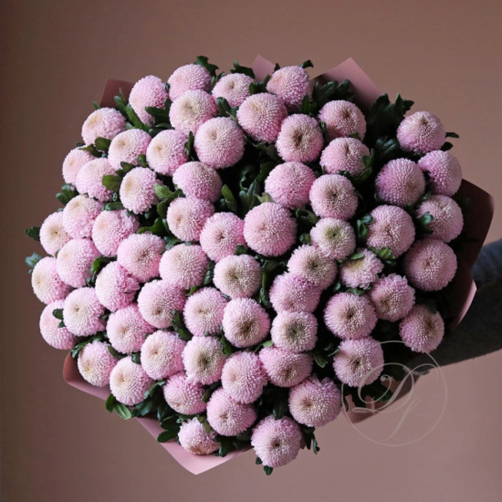 65 хризантем