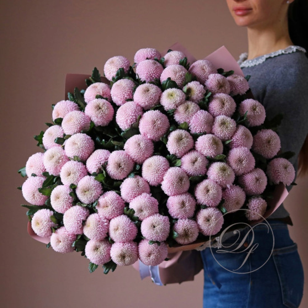 65 хризантем