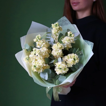 Маттиола кремовая букет