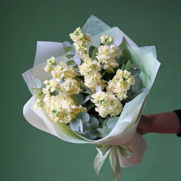 Маттиола кремовая букет