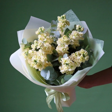 Маттиола кремовая букет