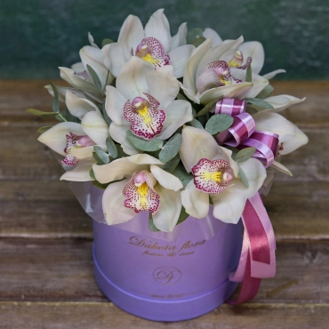 Белая орхидея в коробке