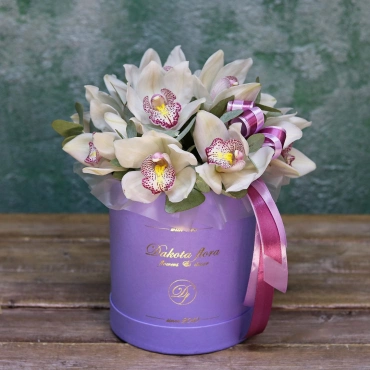 Белая орхидея в коробке