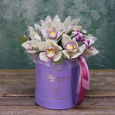 Белая орхидея в коробке