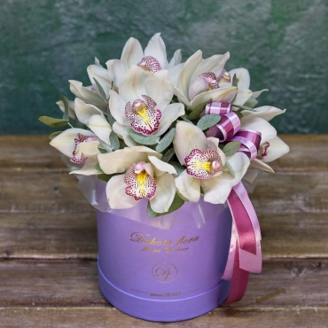 Белая орхидея в коробке