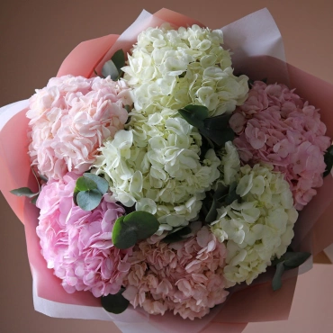Букет из розовой и белой гортензии