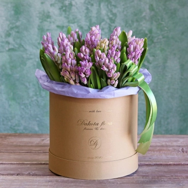 Гиацинты в коробочке в ассортименте