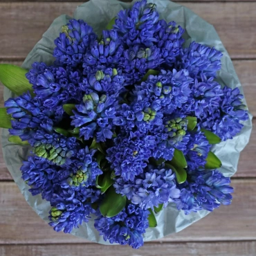 Гиацинты в коробочке в ассортименте