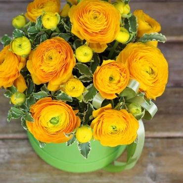 Ранункулюс желтый в коробке