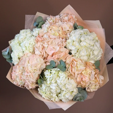 Белые и персиковые гортензии