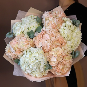 Белые и персиковые гортензии