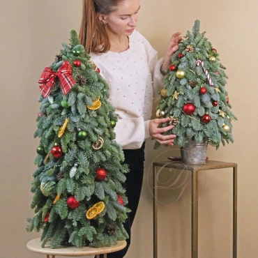 Ёлочка от 30 см.