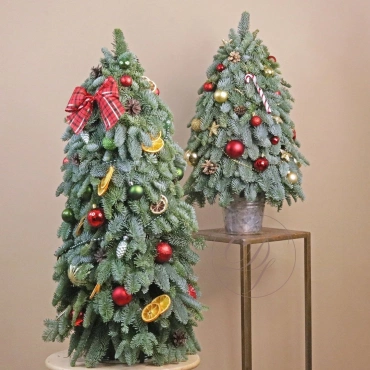 Ёлочка от 30 см.