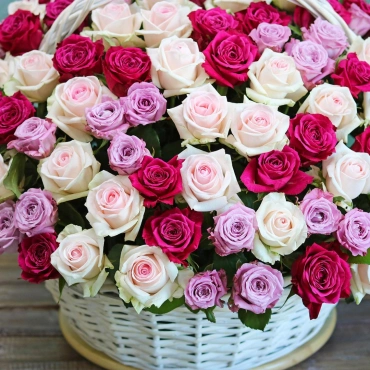 Красивые розы в корзине