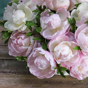 Нежно-розовые пионы в корзине