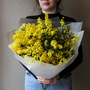 Мимоза букет