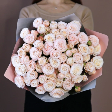 Пудровая роза Бомбастик