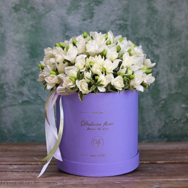 Фрезия в коробке