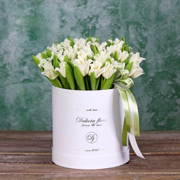 Тюльпан Либерстар в коробочке