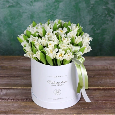 Тюльпан Либерстар в коробочке