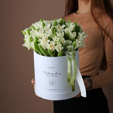 Тюльпан Либерстар в коробочке