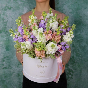 Маттиола в коробке