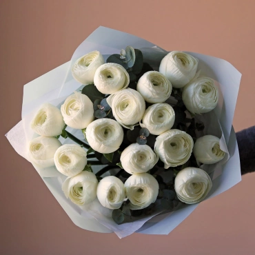 Белые ранункулюсы с зеленью